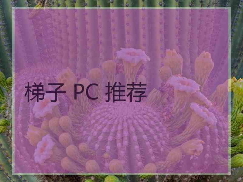 梯子 PC 推荐