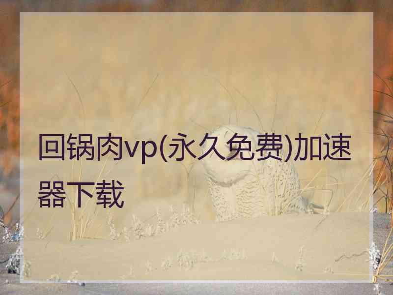 回锅肉vp(永久免费)加速器下载