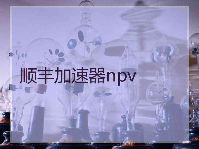 顺丰加速器npv