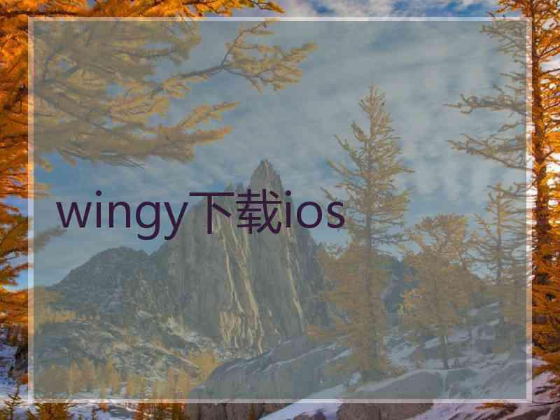 wingy下载ios