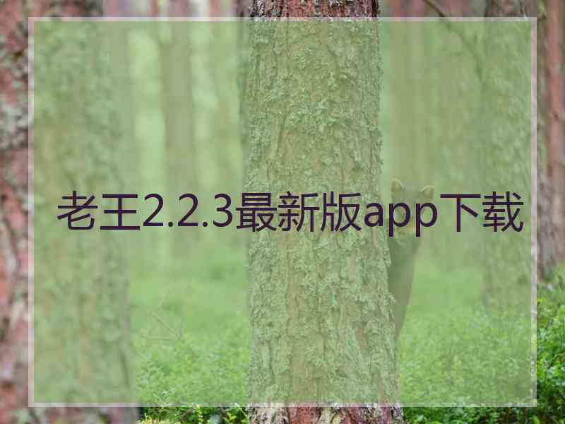 老王2.2.3最新版app下载