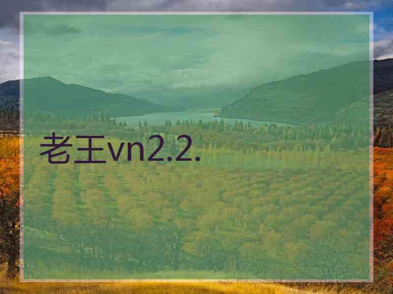 老王vn2.2.