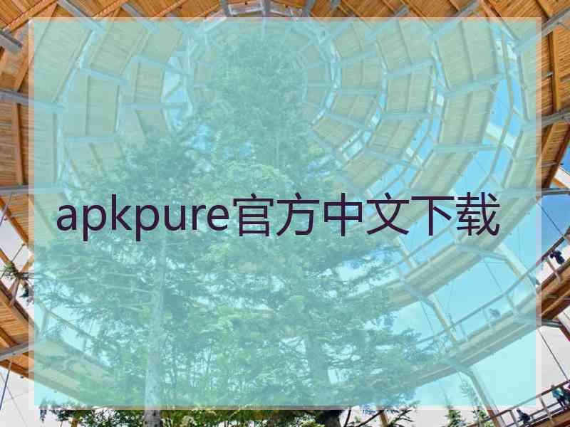 apkpure官方中文下载