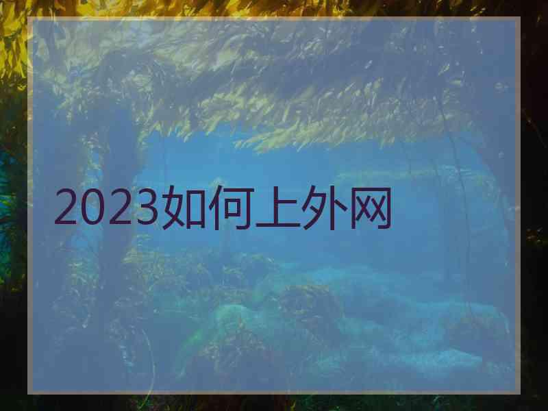 2023如何上外网