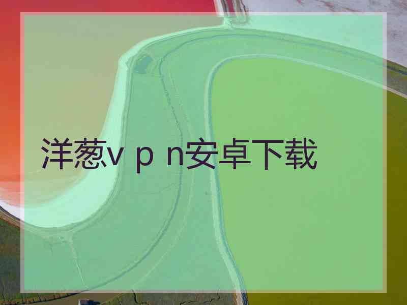 洋葱v p n安卓下载