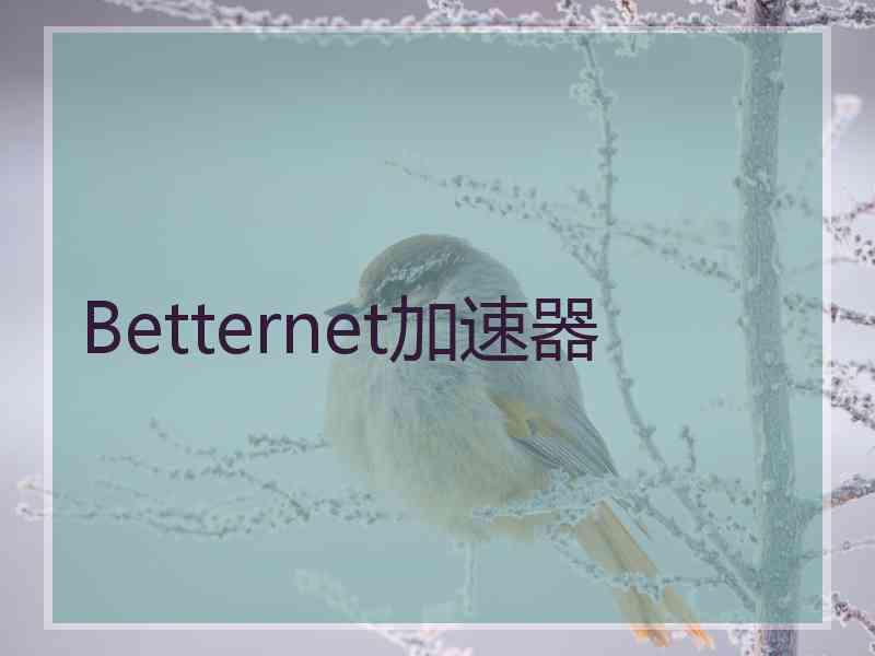 Betternet加速器