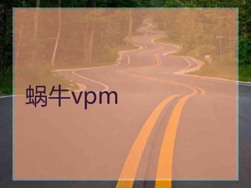 蜗牛vpm