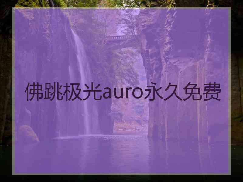 佛跳极光auro永久免费