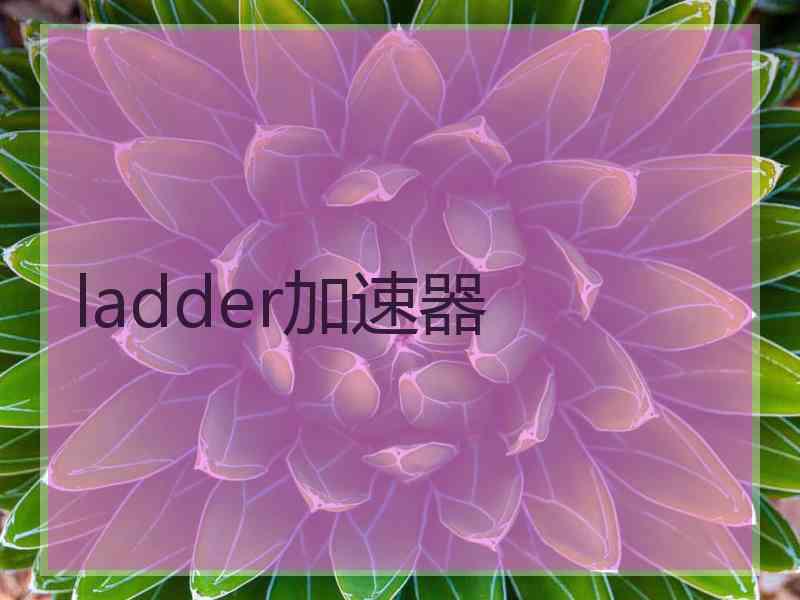 ladder加速器