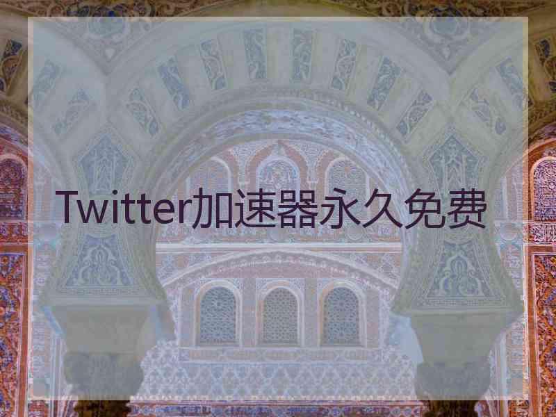 Twitter加速器永久免费