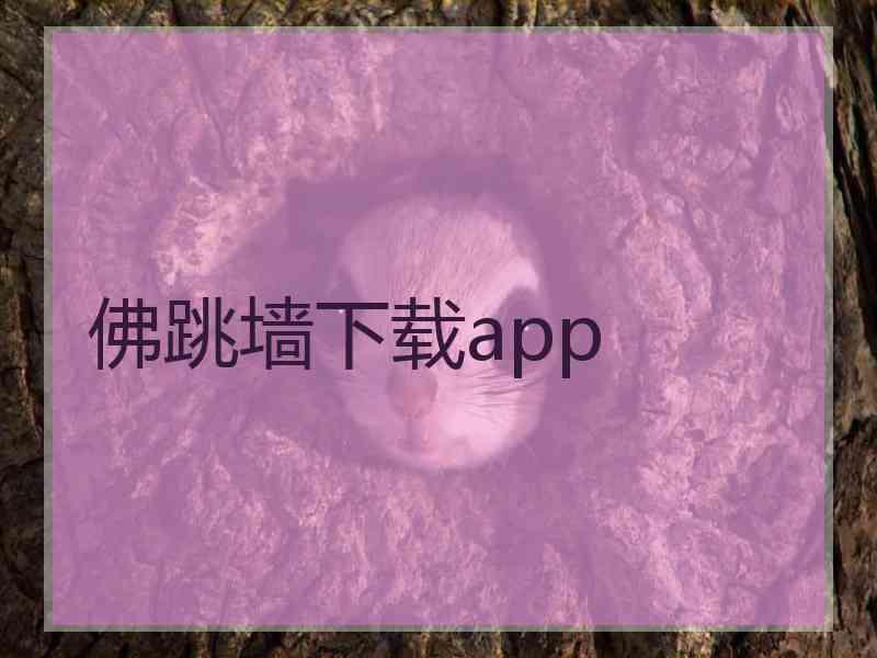 佛跳墙下载app