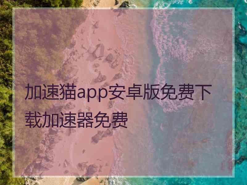 加速猫app安卓版免费下载加速器免费