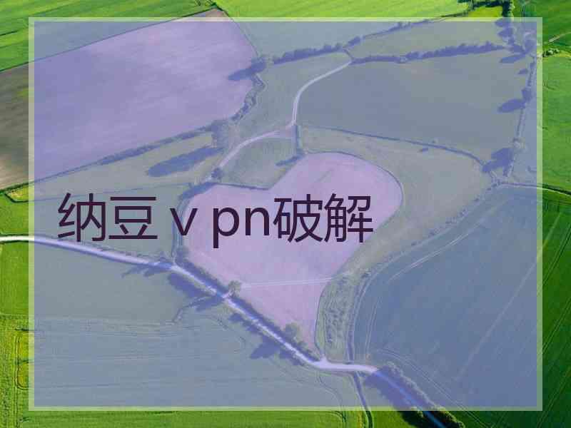 纳豆ⅴpn破解