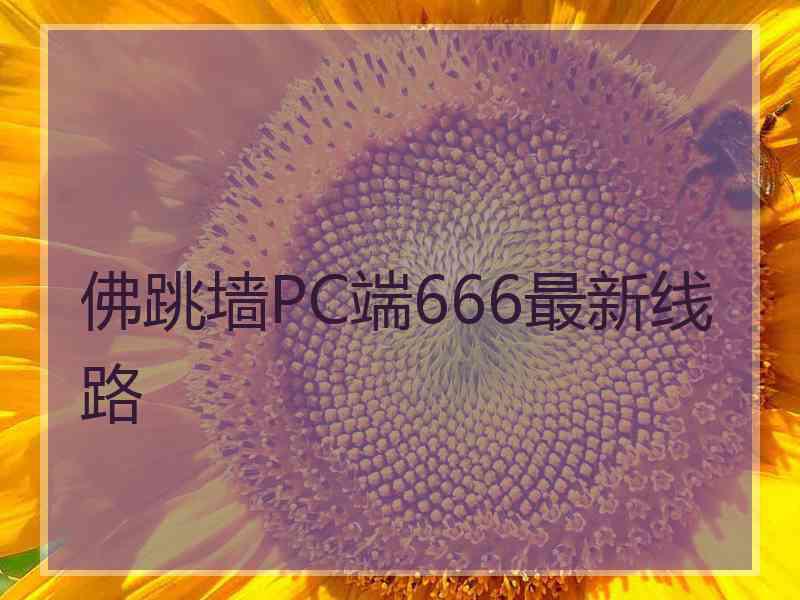 佛跳墙PC端666最新线路