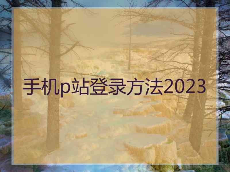 手机p站登录方法2023