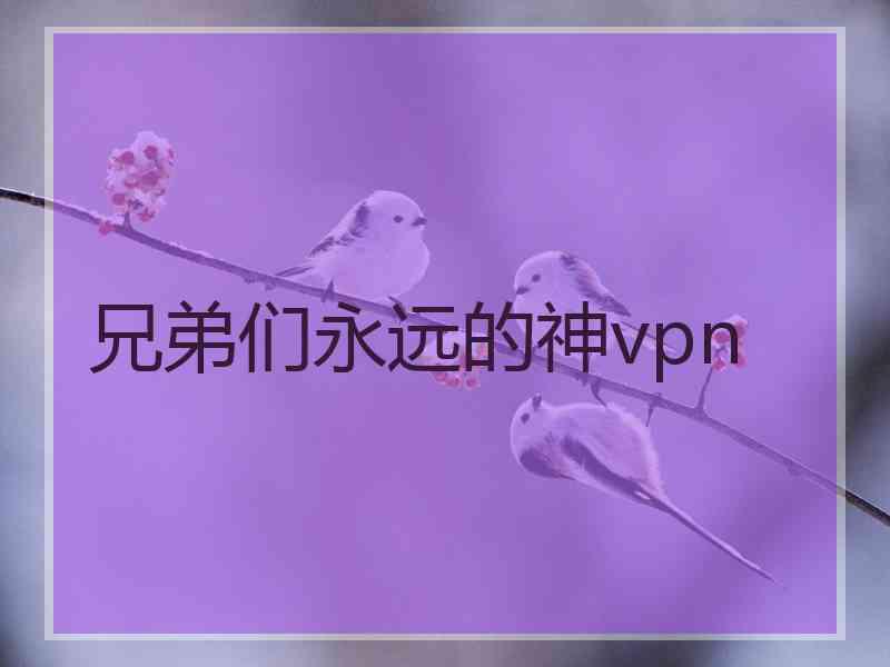 兄弟们永远的神vpn