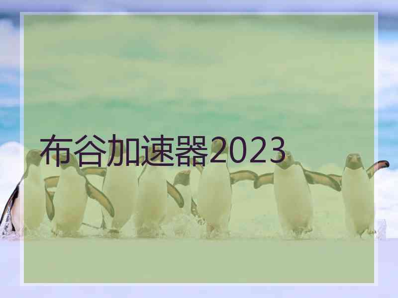 布谷加速器2023