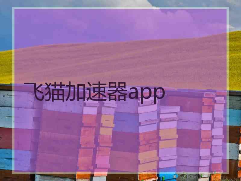 飞猫加速器app