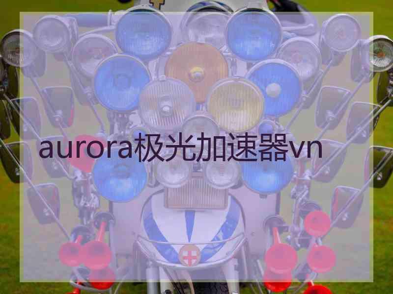 aurora极光加速器vn