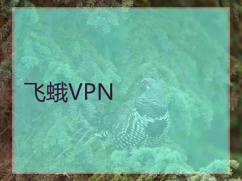 飞蛾VPN