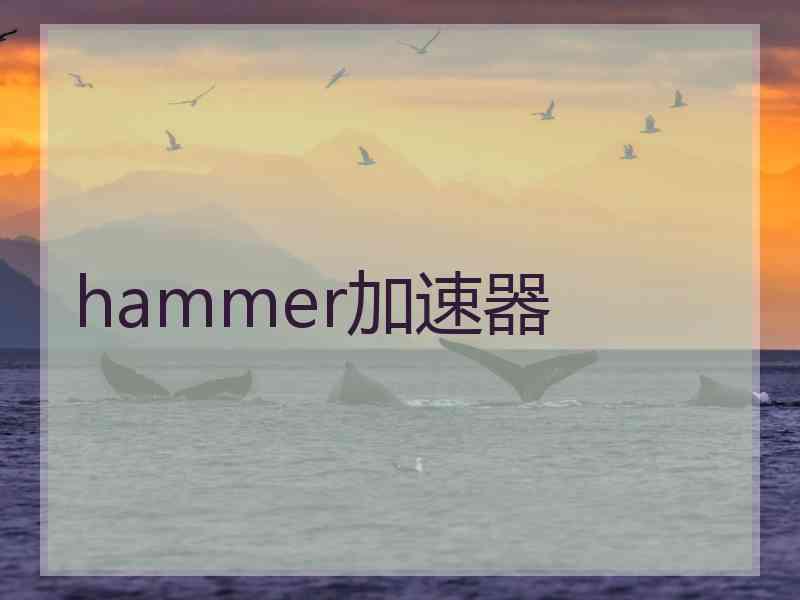 hammer加速器