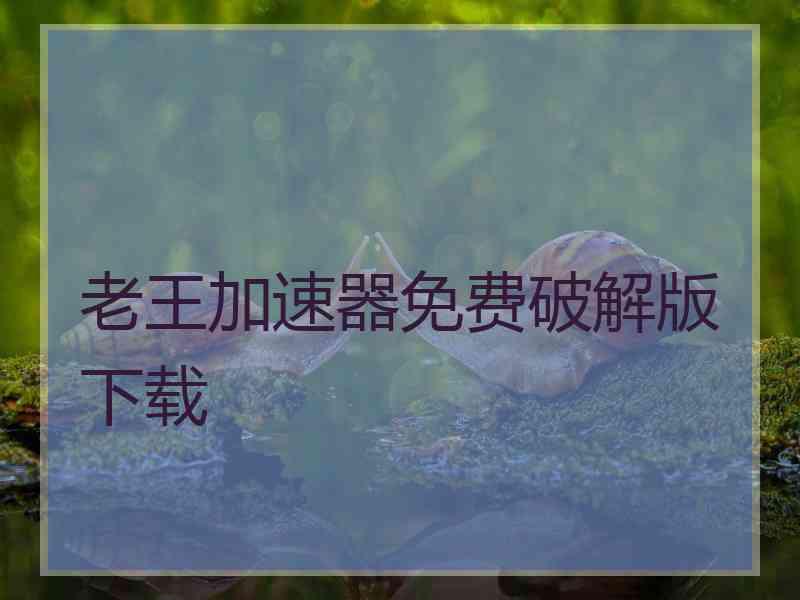 老王加速器免费破解版下载