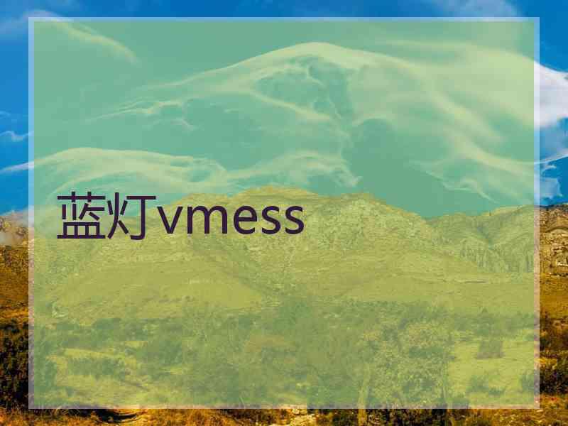 蓝灯vmess