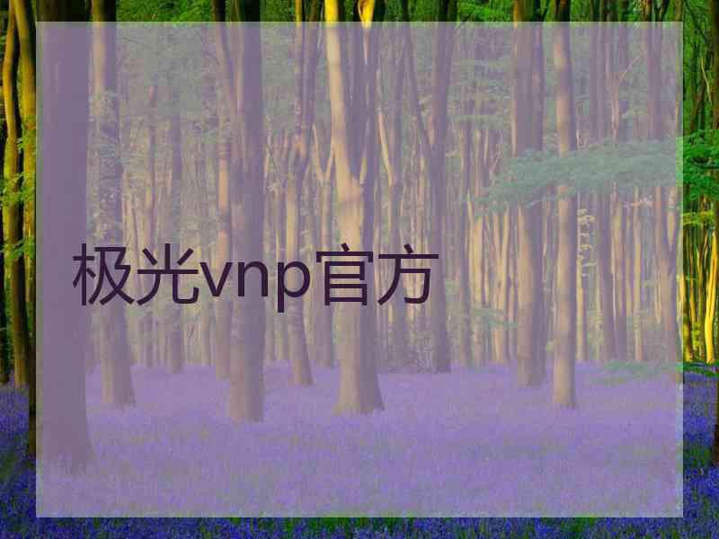 极光vnp官方