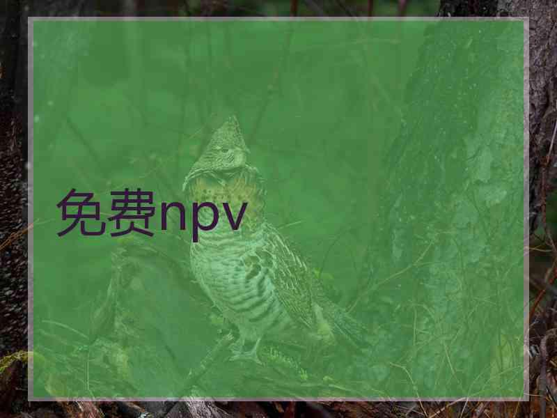 免费npv