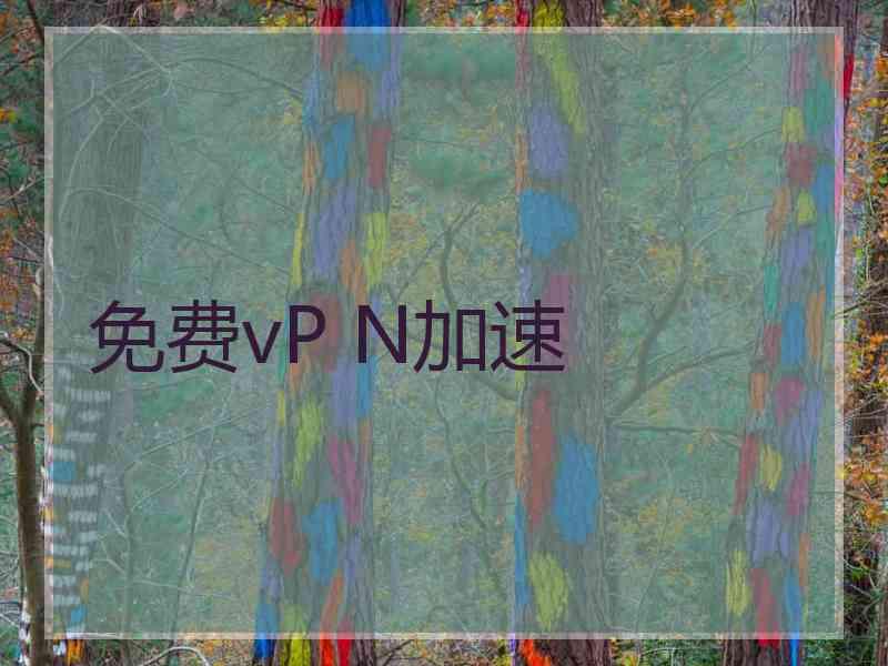 免费vP N加速