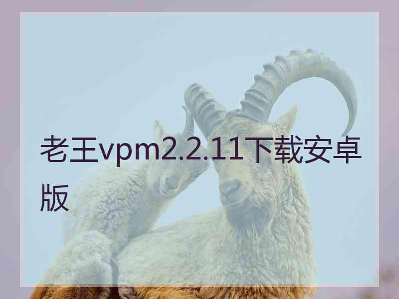 老王vpm2.2.11下载安卓版