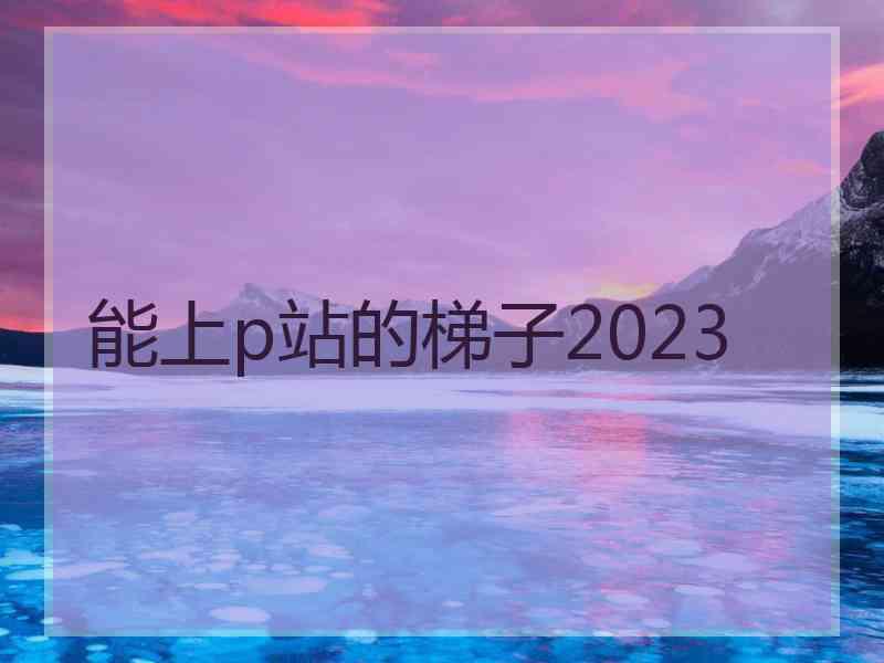 能上p站的梯子2023