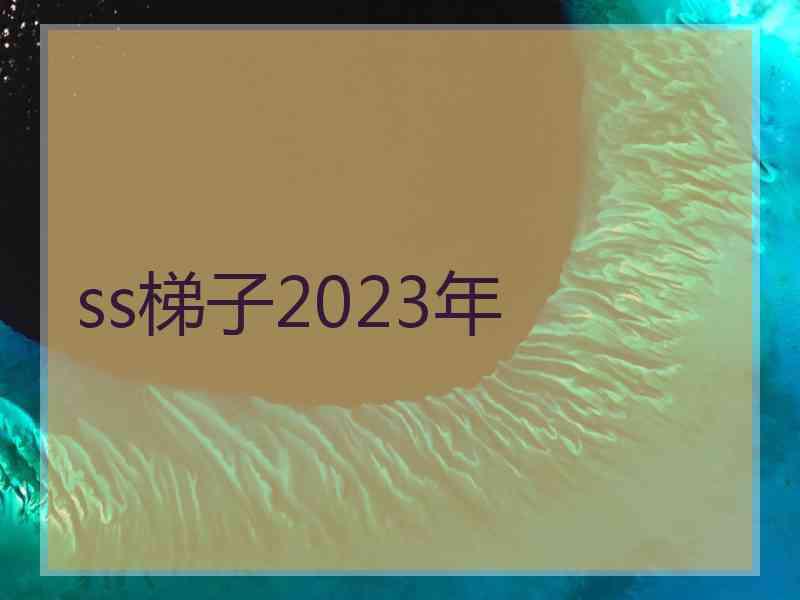 ss梯子2023年