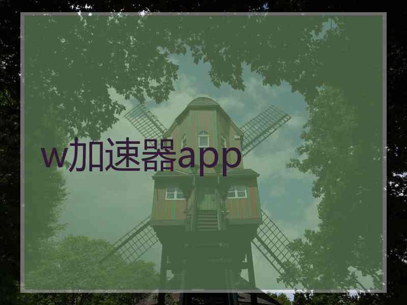 w加速器app