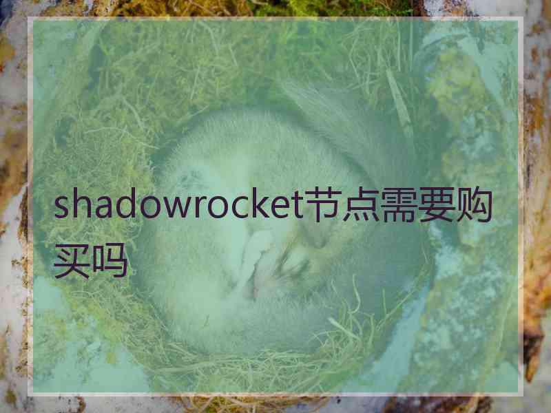 shadowrocket节点需要购买吗