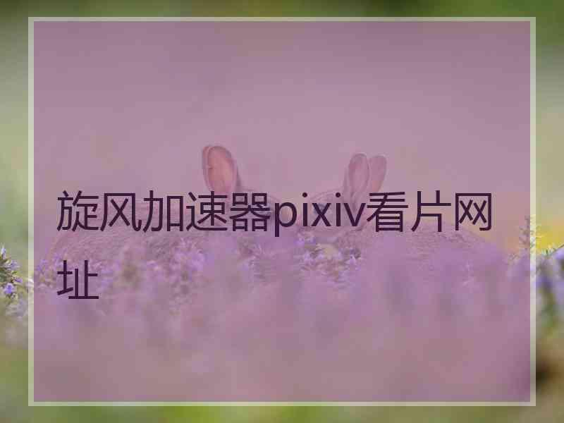 旋风加速器pixiv看片网址