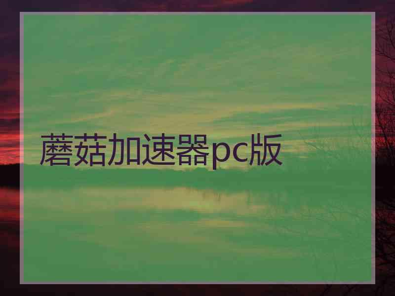 蘑菇加速器pc版