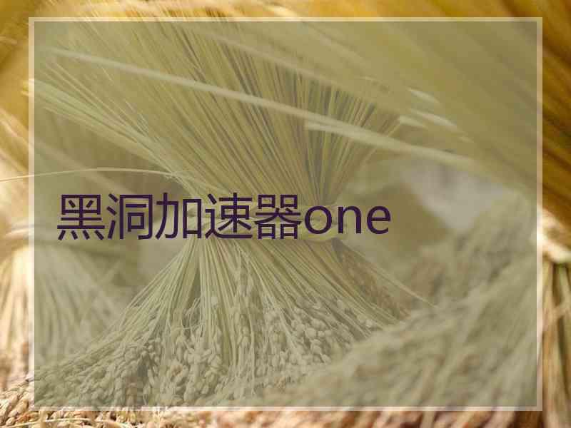 黑洞加速器one