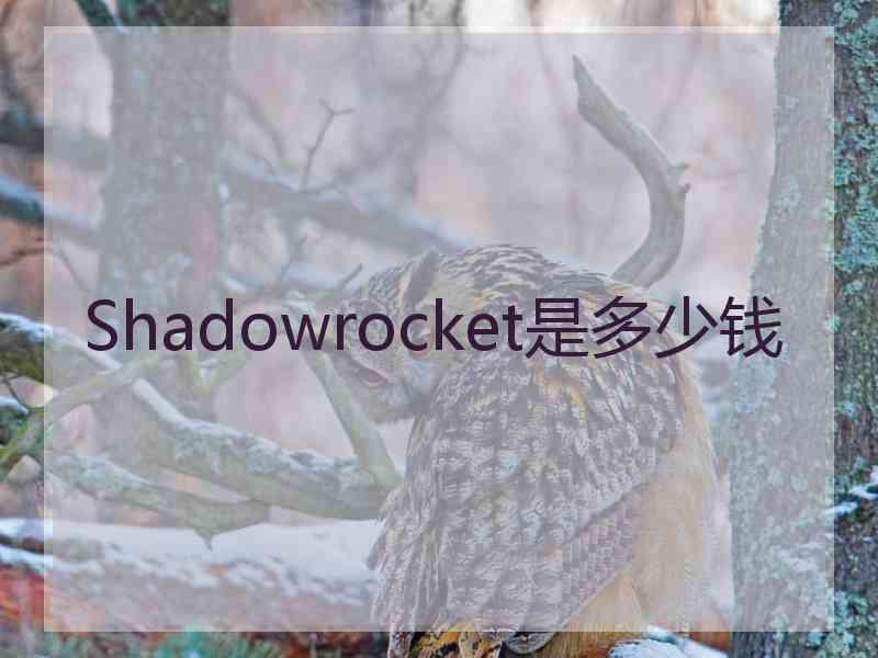 Shadowrocket是多少钱