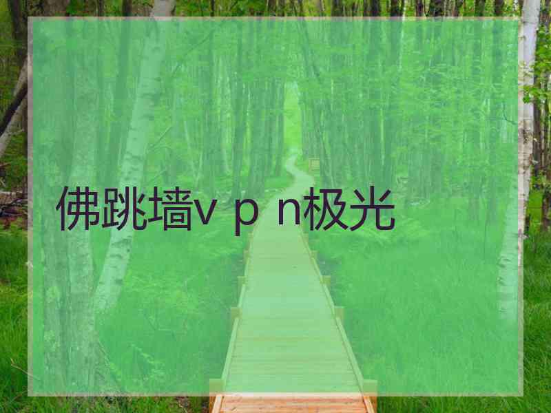 佛跳墙v p n极光