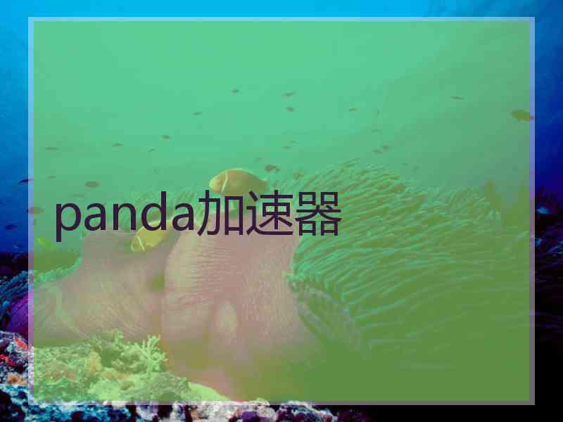 panda加速器