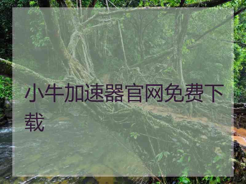 小牛加速器官网免费下载