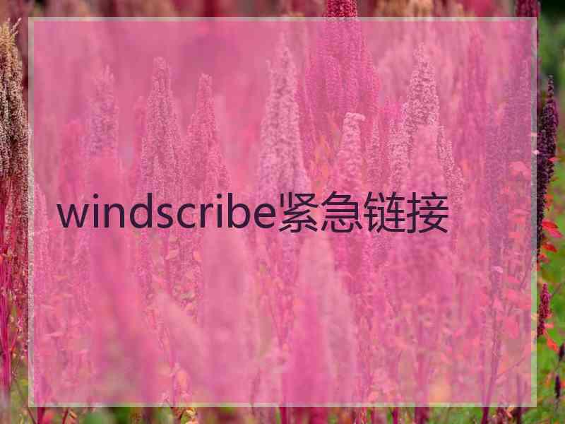 windscribe紧急链接