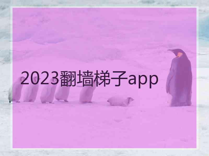 2023翻墙梯子app