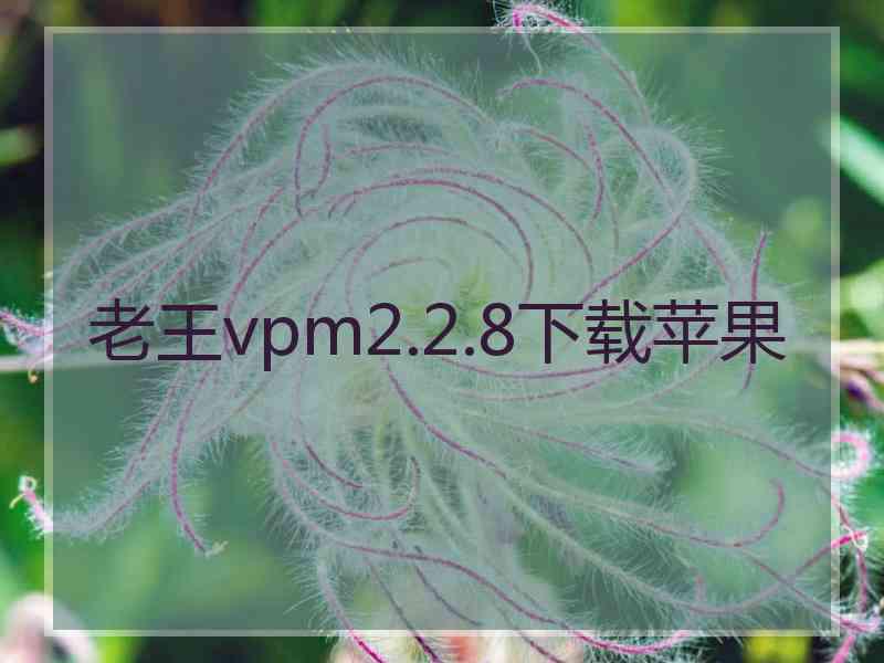 老王vpm2.2.8下载苹果