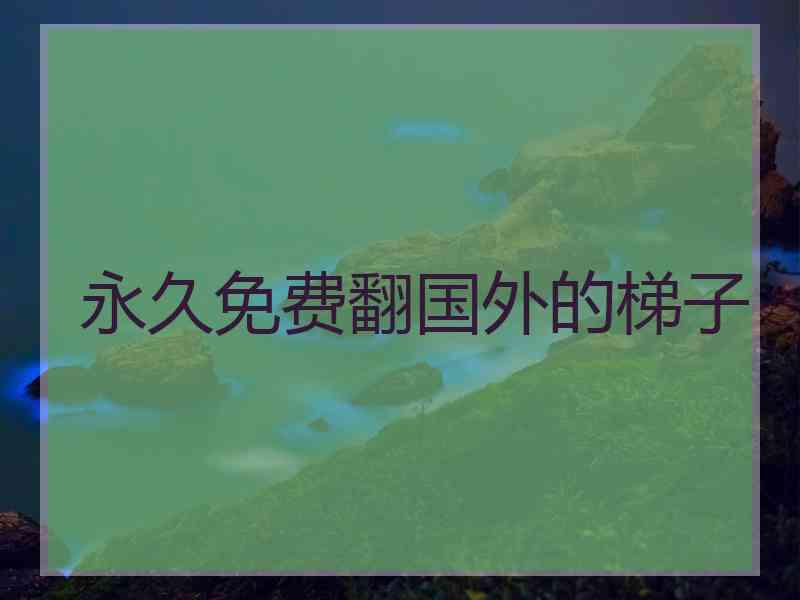 永久免费翻国外的梯子