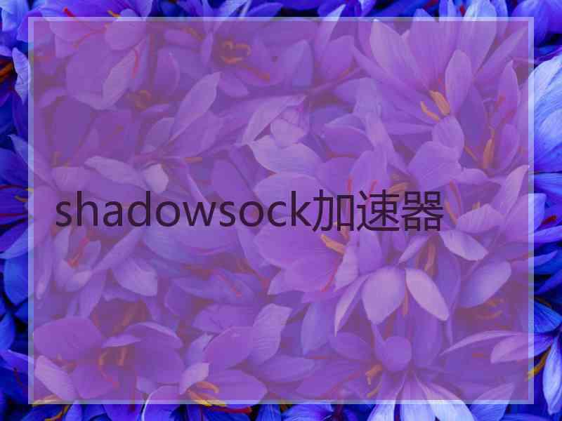 shadowsock加速器