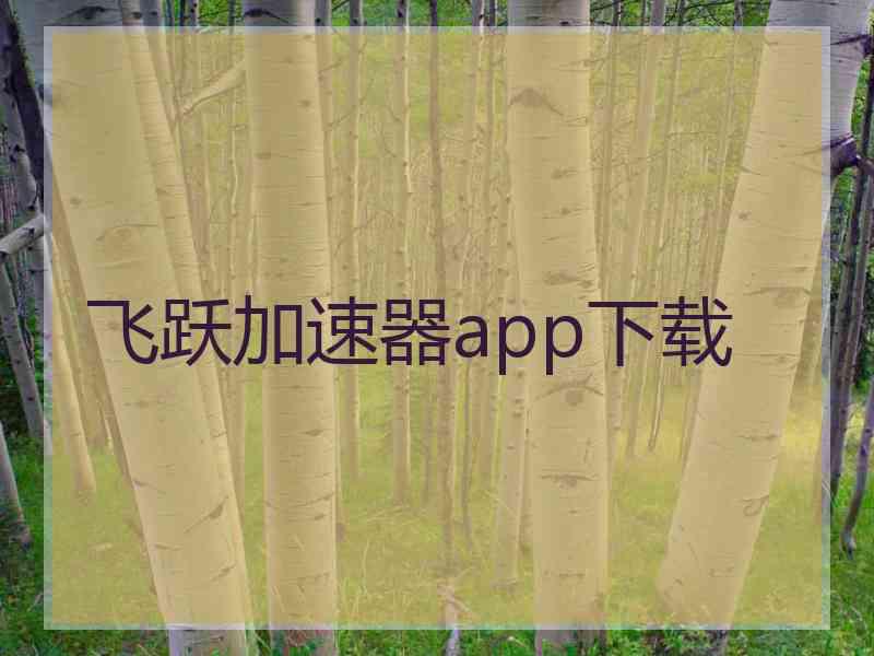 飞跃加速器app下载