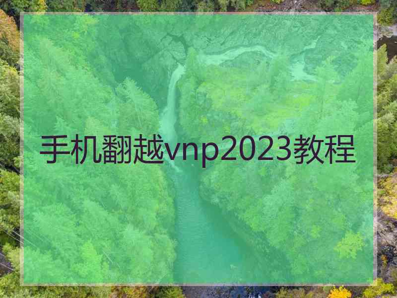 手机翻越vnp2023教程