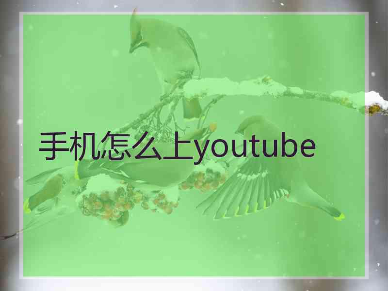 手机怎么上youtube